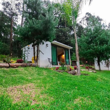 Romanticas Cabanas En Bosque Acaxochitlan Экстерьер фото