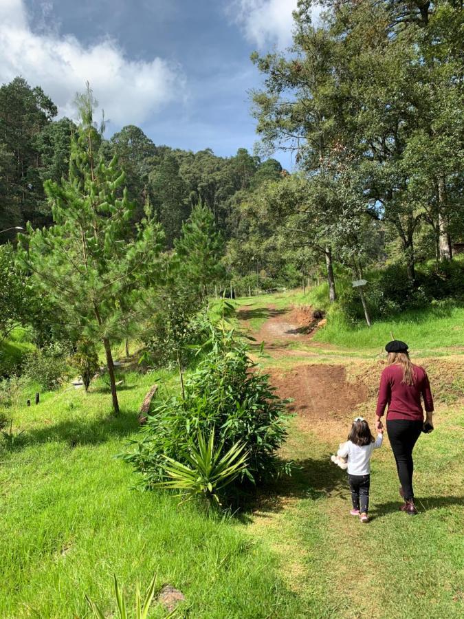 Romanticas Cabanas En Bosque Acaxochitlan Экстерьер фото