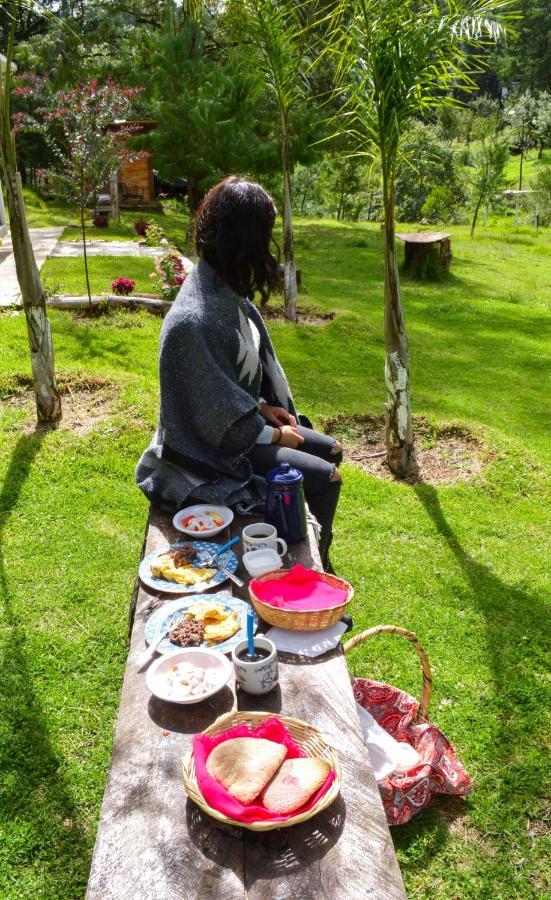 Romanticas Cabanas En Bosque Acaxochitlan Экстерьер фото