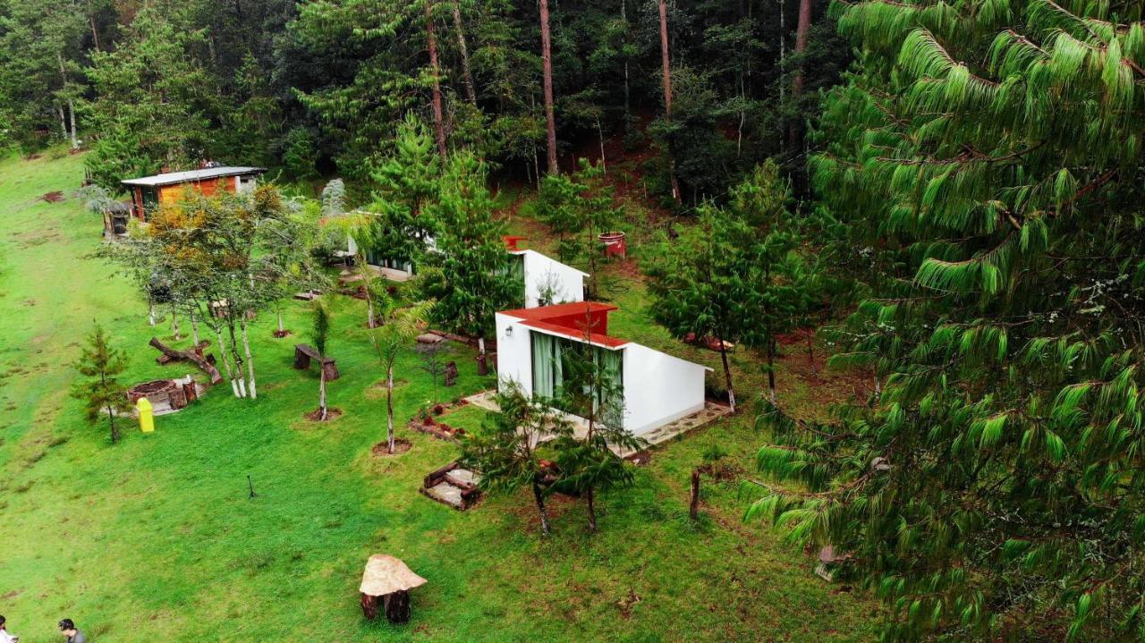 Romanticas Cabanas En Bosque Acaxochitlan Экстерьер фото